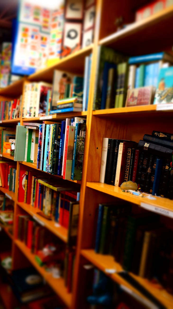books in brown wooden shelf indoors